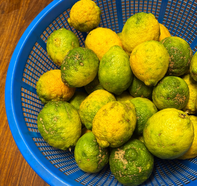 Lemon Chutney